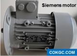 Siemens Motor 