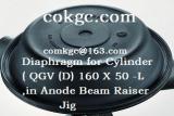 Diaphragm for Cylinder  QGV (D) 160 X 50 –L, in Anode Beam Raiser Jig 