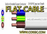 Flat cable